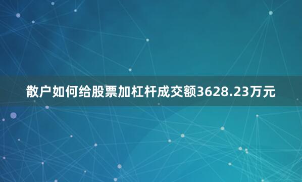 散户如何给股票加杠杆成交额3628.23万元