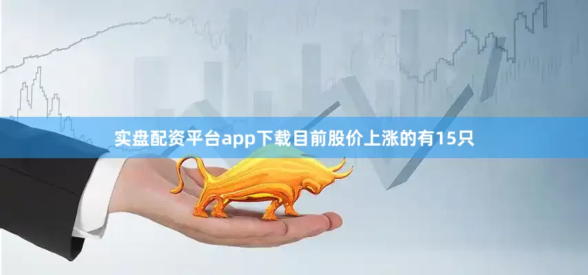 实盘配资平台app下载目前股价上涨的有15只