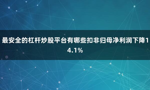 最安全的杠杆炒股平台有哪些扣非归母净利润下降14.1%