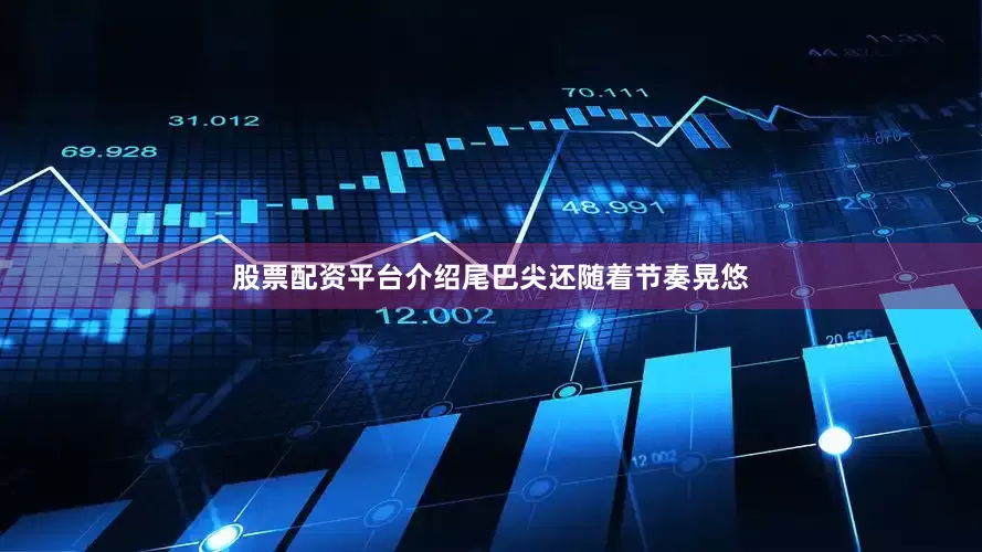 股票配资平台介绍尾巴尖还随着节奏晃悠